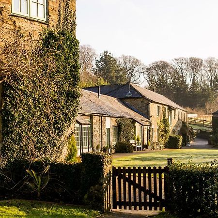 بودمين Glynn Barton Cottages المظهر الخارجي الصورة